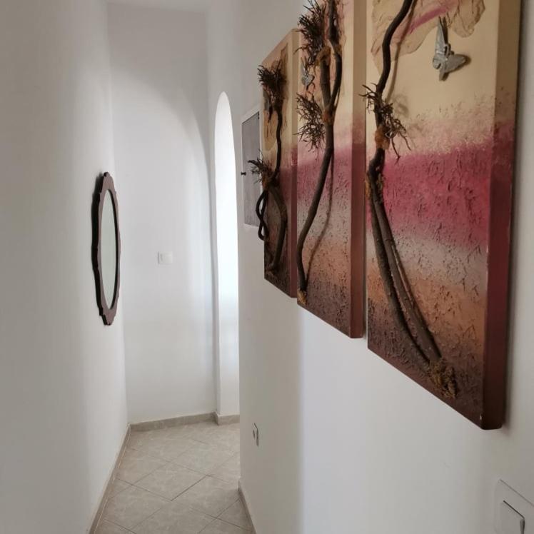 Seaview Family House Apartment อาร์คาซา ภายนอก รูปภาพ